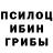 Псилоцибиновые грибы Psilocybe Mariam