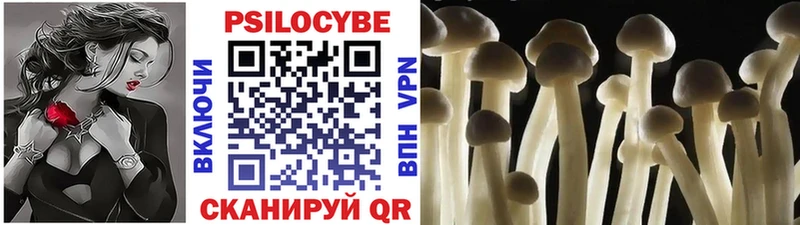 Купить  Гаджиево  Галлюциногенные грибы мицелий 